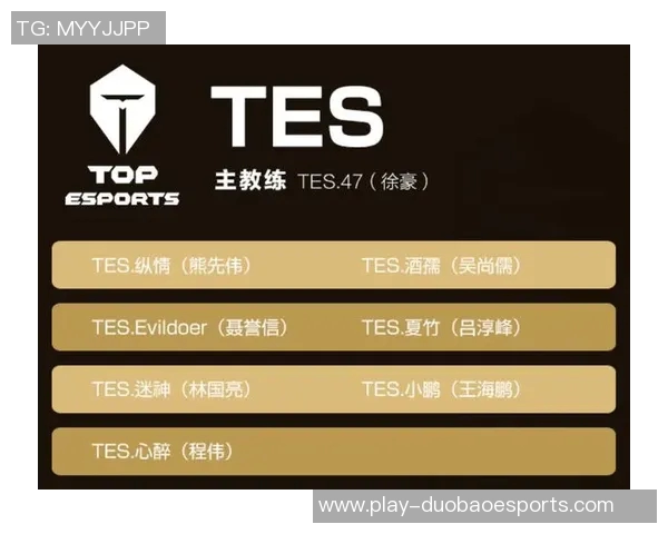 王者荣耀分析TES包夹战术的优缺点与影响因素探讨