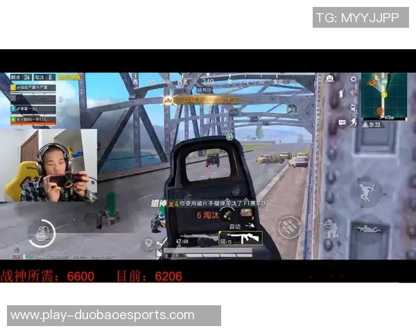 深度探讨周丽在和平精英中的成长与挑战之路 深度探讨周丽在和平精英中的成长与挑战之路